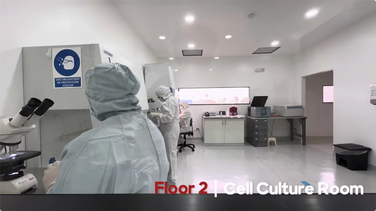 Limphocite — Limphocare Tijuana